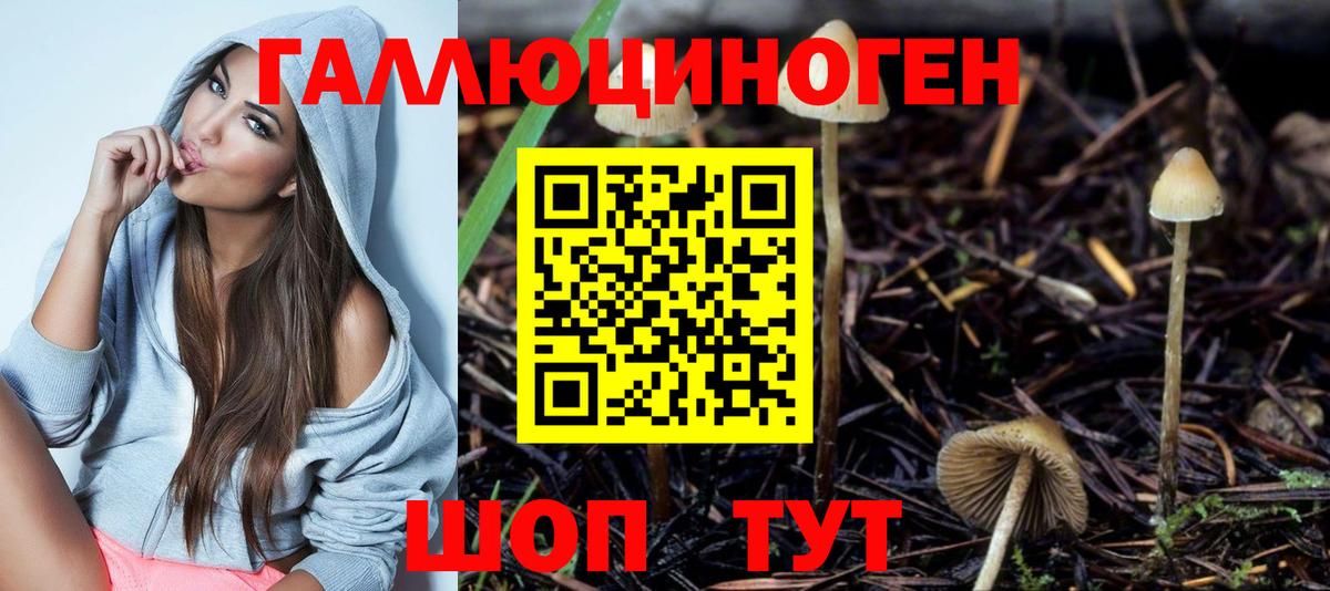 Псилоцибиновые грибы мухоморы Нижнекамск