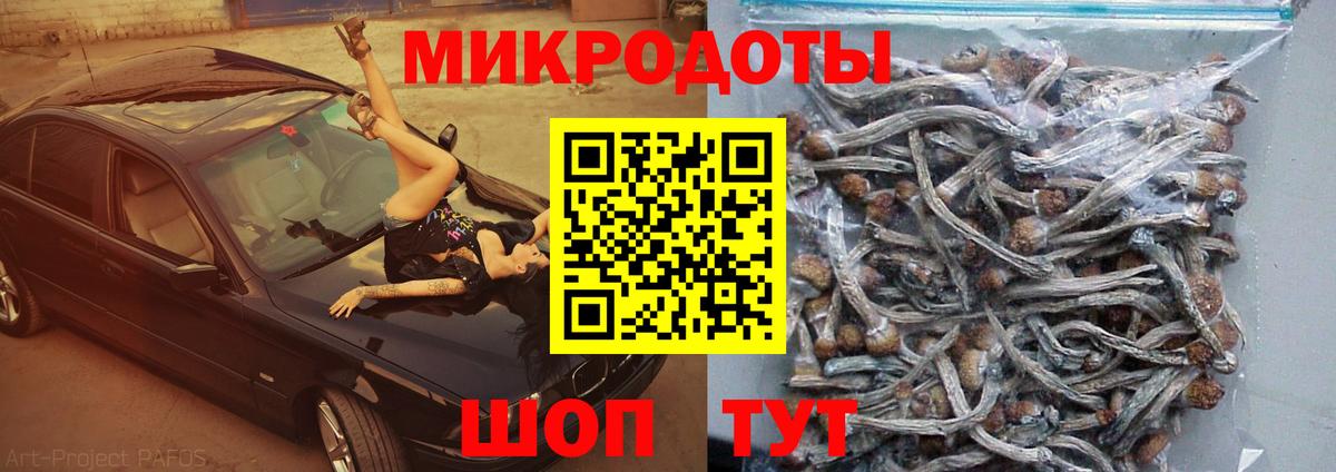 Галлюциногенные грибы GOLDEN TEACHER  Галлюциногенные грибы Magic Shrooms  Нижнекамск  Вход с VPN 